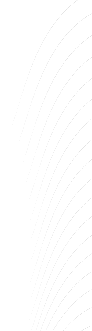 شیپ راست