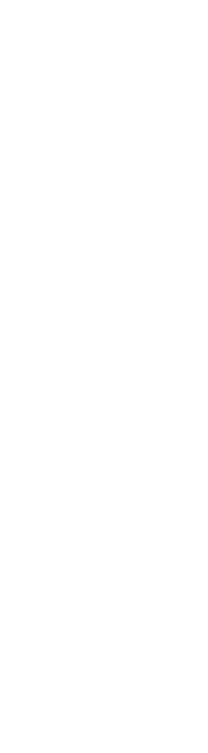 شیپ راست